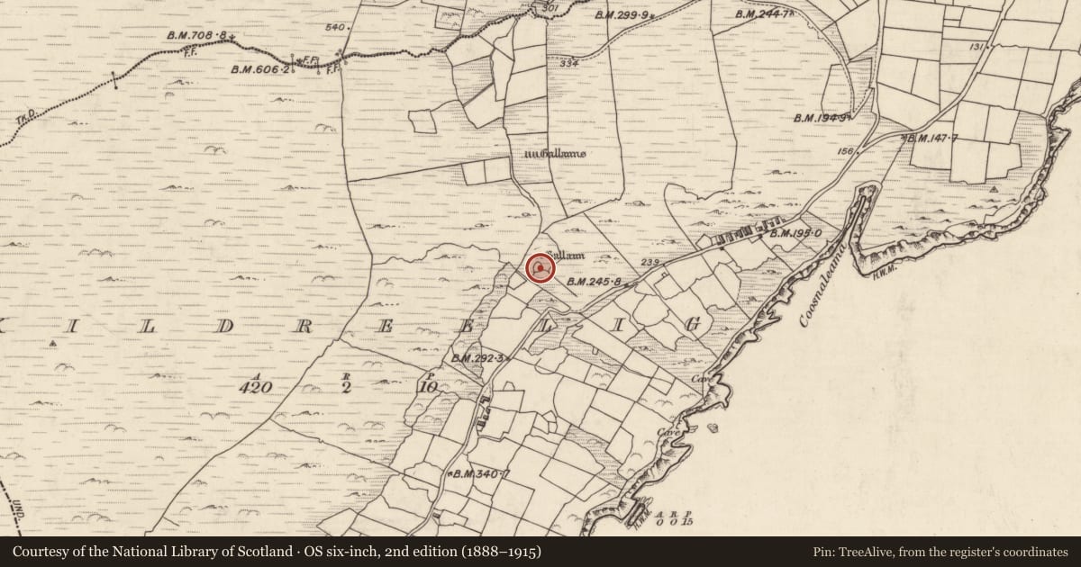 Ordnance Survey six-inch map, 2nd edition (1888–1915) covering the location of Ringfort - cashel, Cill Rialaigh, County Kerry, with a pin at the register's coordinates