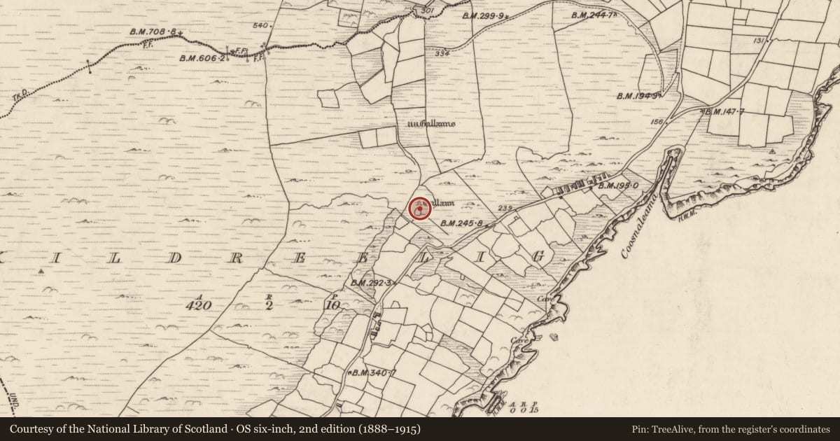 Ordnance Survey six-inch map, 2nd edition (1888–1915) covering the location of Souterrain, Cill Rialaigh, County Kerry, with a pin at the register's coordinates