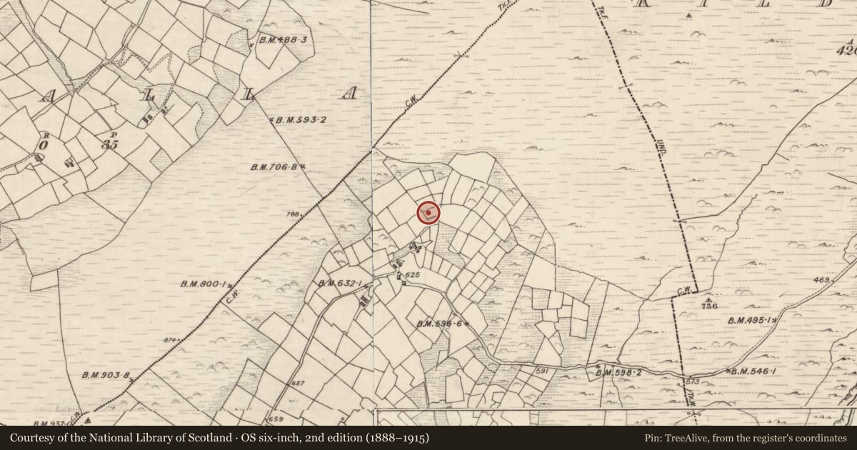 Ordnance Survey six-inch map, 2nd edition (1888–1915) covering the location of Standing stone - pair, Bólas, County Kerry, with a pin at the register's coordinates
