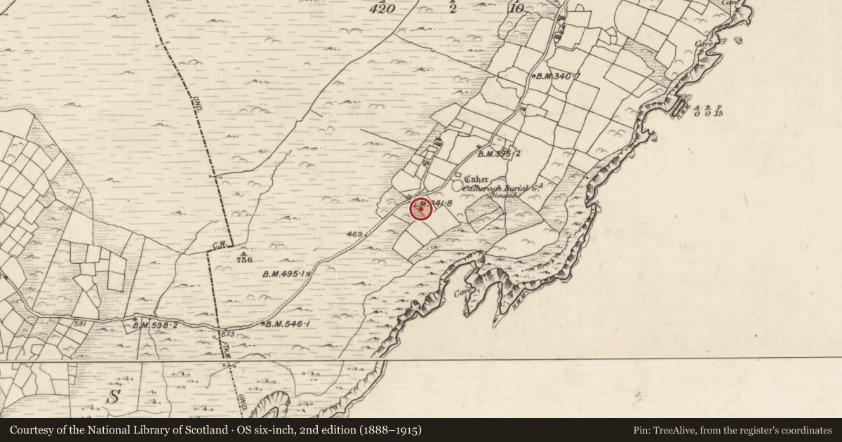 Ordnance Survey six-inch map, 2nd edition (1888–1915) covering the location of Hut site, Cill Rialaigh, County Kerry, with a pin at the register's coordinates