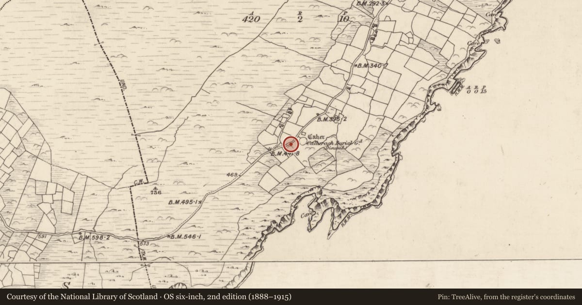 Ordnance Survey six-inch map, 2nd edition (1888–1915) covering the location of Hut site, Cill Rialaigh, County Kerry, with a pin at the register's coordinates