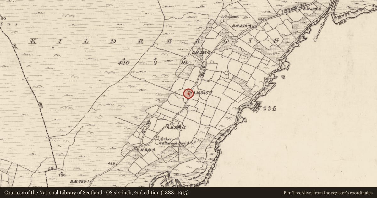 Ordnance Survey six-inch map, 2nd edition (1888–1915) covering the location of Standing stone, Cill Rialaigh, County Kerry, with a pin at the register's coordinates