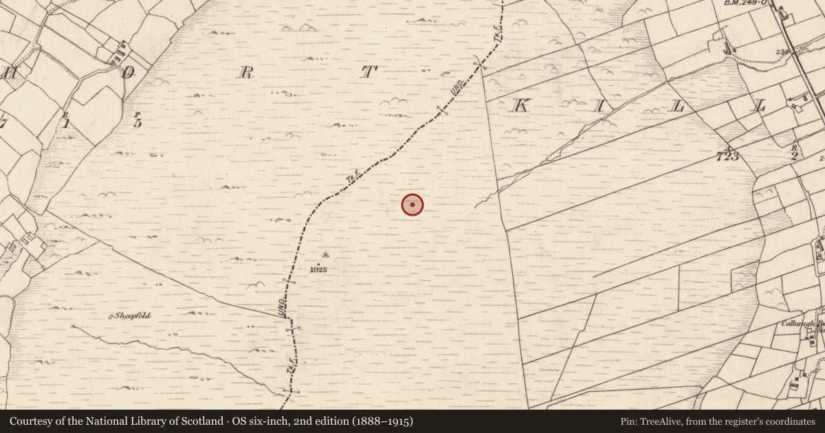Ordnance Survey six-inch map, 2nd edition (1888–1915) covering the location of Hut site, Cill Urlaí, County Kerry, with a pin at the register's coordinates