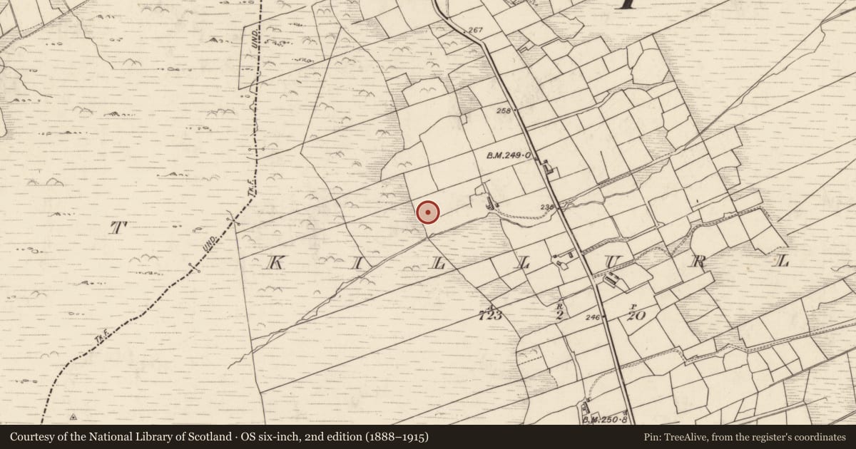 Ordnance Survey six-inch map, 2nd edition (1888–1915) covering the location of Children's burial ground, Cill Urlaí, County Kerry, with a pin at the register's coordinates