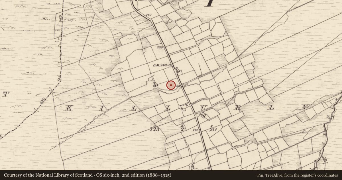 Ordnance Survey six-inch map, 2nd edition (1888–1915) covering the location of Standing stone, Cill Urlaí, County Kerry, with a pin at the register's coordinates