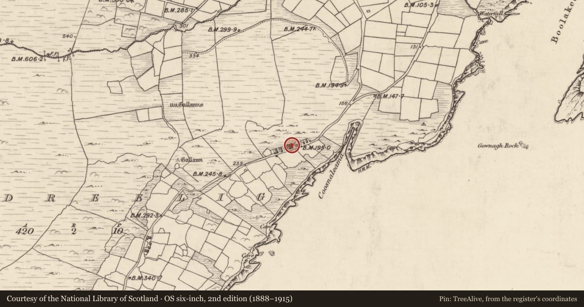 Ordnance Survey six-inch map, 2nd edition (1888–1915) covering the location of Settlement cluster, Cill Rialaigh, County Kerry, with a pin at the register's coordinates