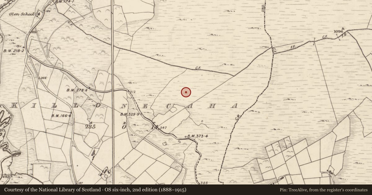 Ordnance Survey six-inch map, 2nd edition (1888–1915) covering the location of Standing stone, Cill Ón Chatha, County Kerry, with a pin at the register's coordinates