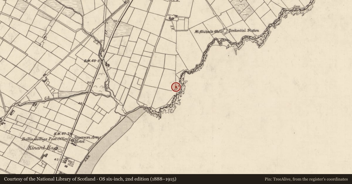 Ordnance Survey six-inch map, 2nd edition (1888–1915) covering the location of Fish palace, Dungeagan, County Kerry, with a pin at the register's coordinates