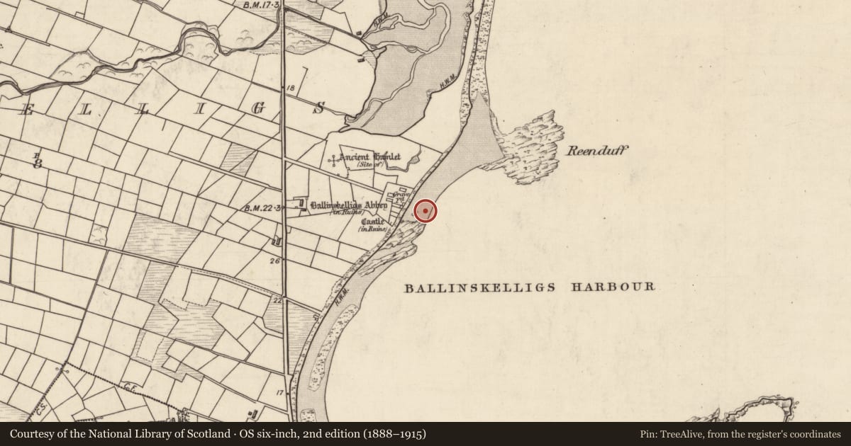 Ordnance Survey six-inch map, 2nd edition (1888–1915) covering the location of Burial, Baile An Sceilg, County Kerry, with a pin at the register's coordinates