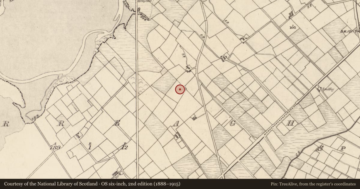 Ordnance Survey six-inch map, 2nd edition (1888–1915) covering the location of Enclosure, An Mhuiríoch (TC An tImleach), County Kerry, with a pin at the register's coordinates