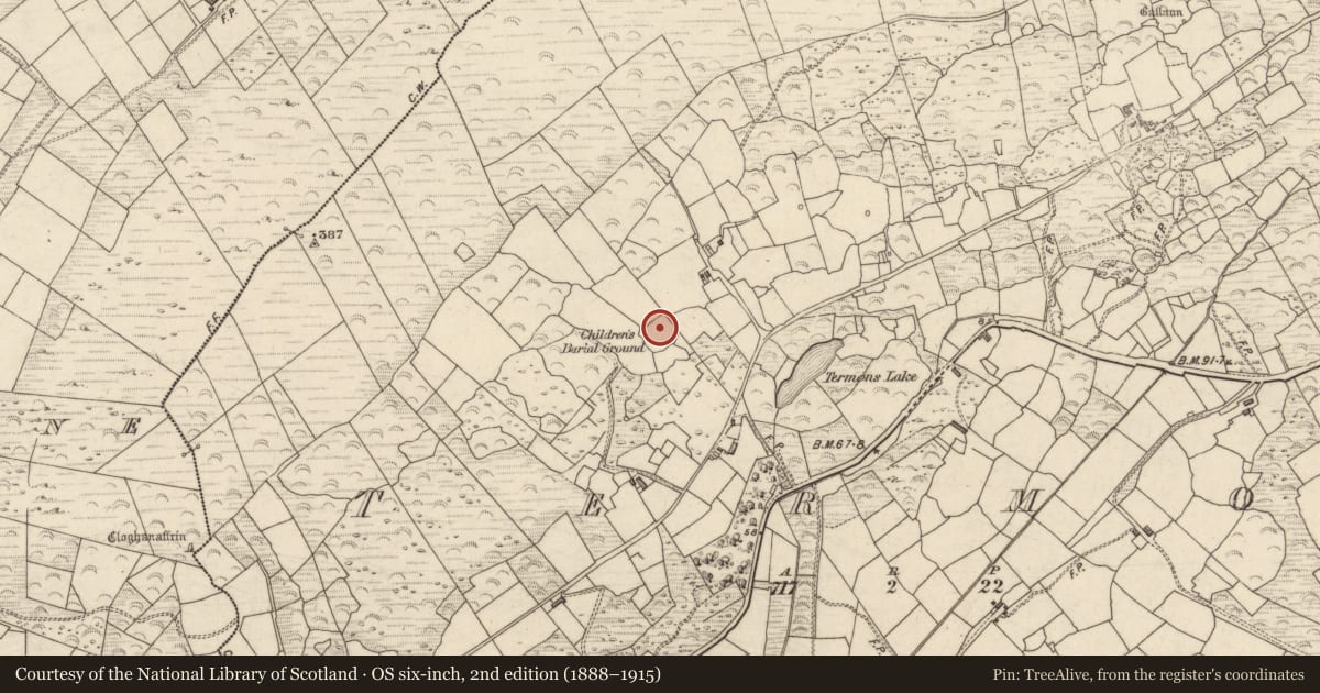 Ordnance Survey six-inch map, 2nd edition (1888–1915) covering the location of Cross-slab, Termons, County Kerry, with a pin at the register's coordinates