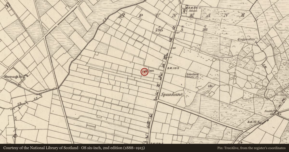 Ordnance Survey six-inch map, 2nd edition (1888–1915) covering the location of Standing stone, Spunkane, County Kerry, with a pin at the register's coordinates