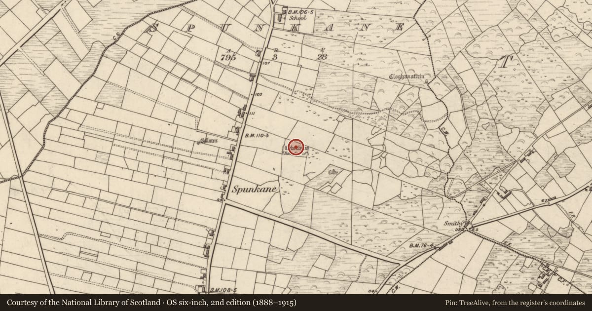 Ordnance Survey six-inch map, 2nd edition (1888–1915) covering the location of Ringfort - cashel, Spunkane, County Kerry, with a pin at the register's coordinates
