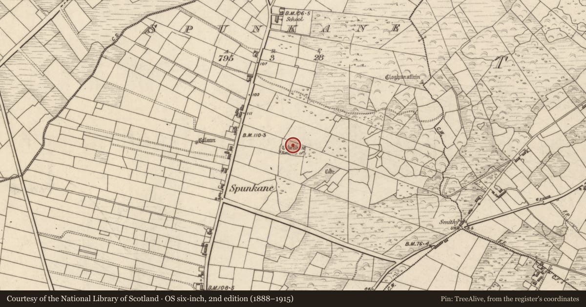 Ordnance Survey six-inch map, 2nd edition (1888–1915) covering the location of Children's burial ground, Spunkane, County Kerry, with a pin at the register's coordinates