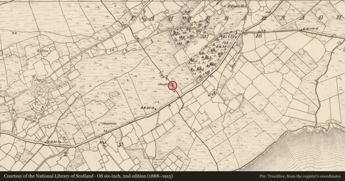 Ordnance Survey six-inch map, 2nd edition (1888–1915) covering the location of Hut site, Termons, County Kerry, with a pin at the register's coordinates