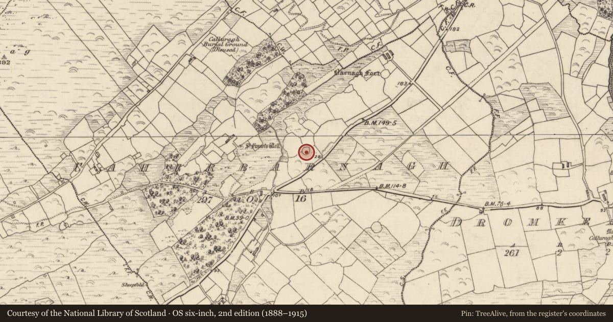 Ordnance Survey six-inch map, 2nd edition (1888–1915) covering the location of Ringfort - cashel, An Chathair Bhearnach, County Kerry, with a pin at the register's coordinates