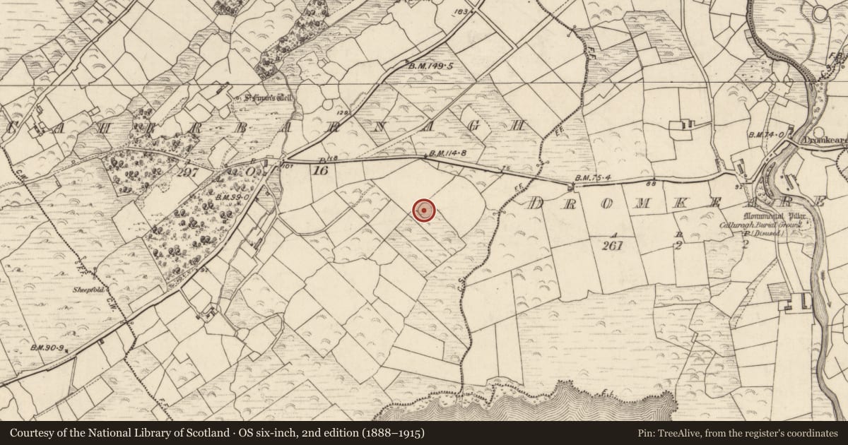 Ordnance Survey six-inch map, 2nd edition (1888–1915) covering the location of Hut site, An Chathair Bhearnach, County Kerry, with a pin at the register's coordinates