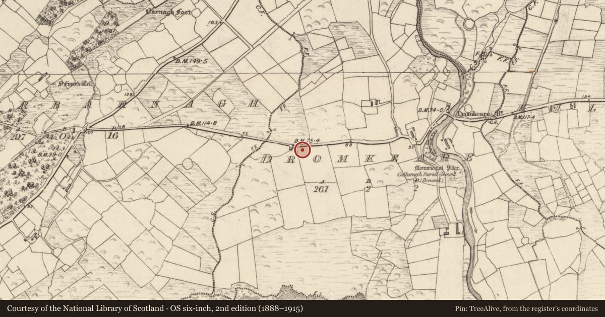 Ordnance Survey six-inch map, 2nd edition (1888–1915) covering the location of Stone row, Dromkeare, County Kerry, with a pin at the register's coordinates
