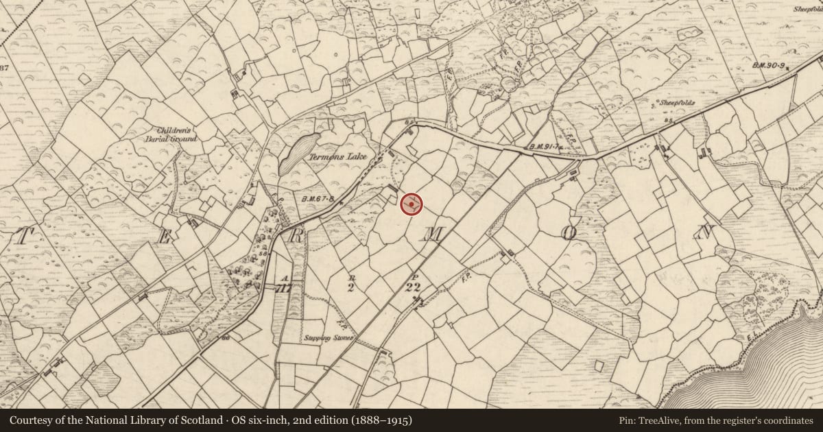 Ordnance Survey six-inch map, 2nd edition (1888–1915) covering the location of Cultivation ridges, Termons, County Kerry, with a pin at the register's coordinates