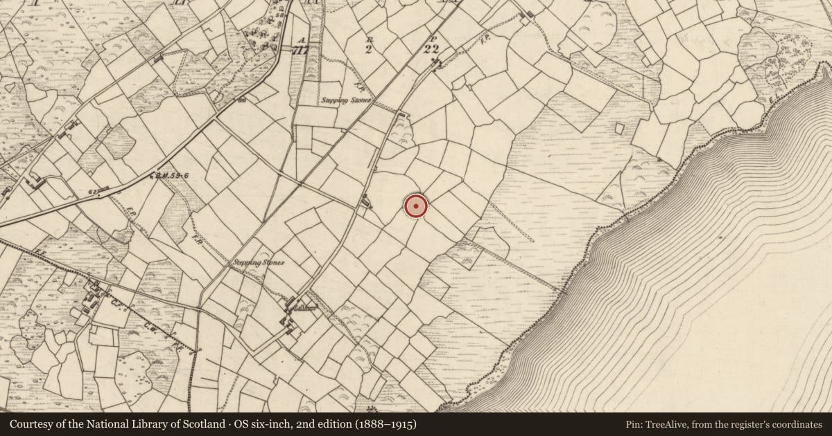 Ordnance Survey six-inch map, 2nd edition (1888–1915) covering the location of Ringfort - cashel, Termons, County Kerry, with a pin at the register's coordinates