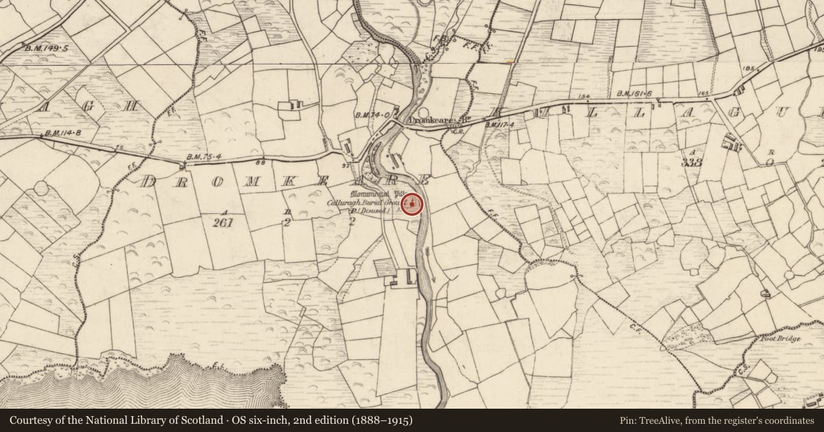 Ordnance Survey six-inch map, 2nd edition (1888–1915) covering the location of Cross-slab, Dromkeare, County Kerry, with a pin at the register's coordinates
