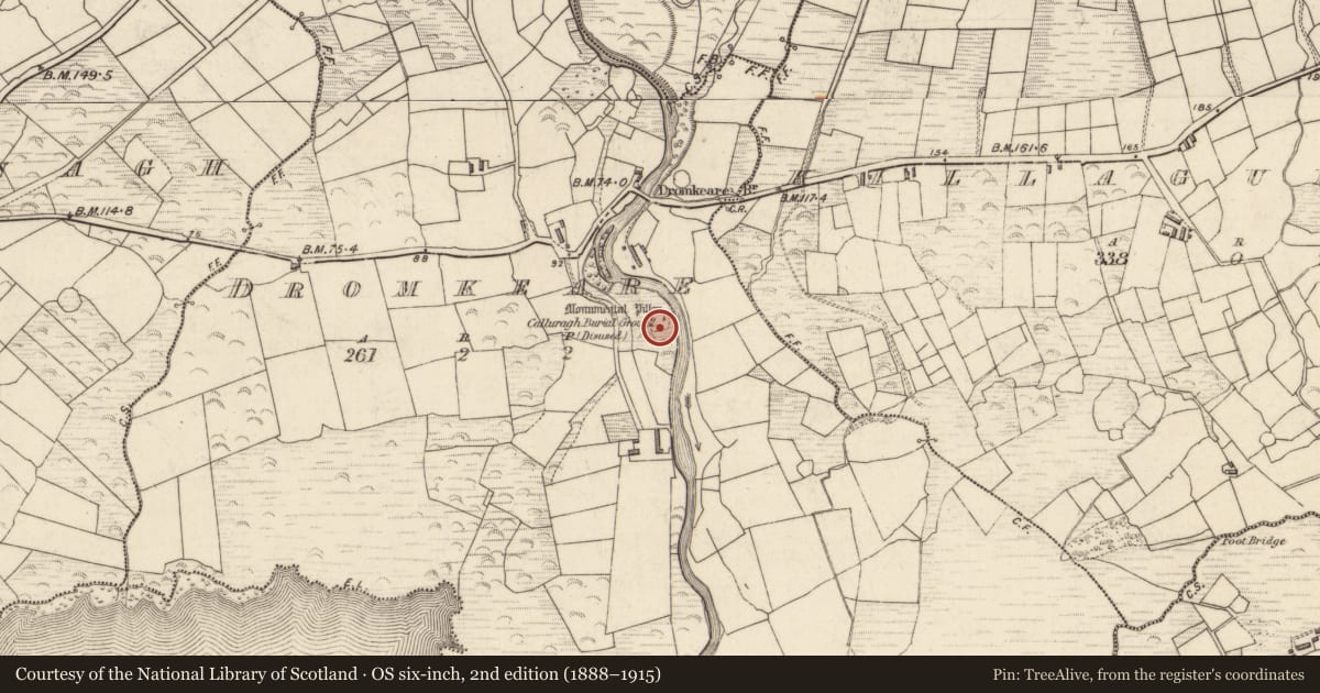 Ordnance Survey six-inch map, 2nd edition (1888–1915) covering the location of Ecclesiastical enclosure, Dromkeare, County Kerry, with a pin at the register's coordinates