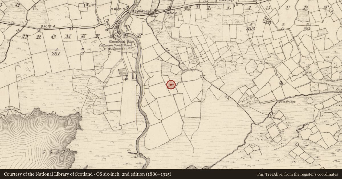 Ordnance Survey six-inch map, 2nd edition (1888–1915) covering the location of Enclosure, Dromkeare, County Kerry, with a pin at the register's coordinates