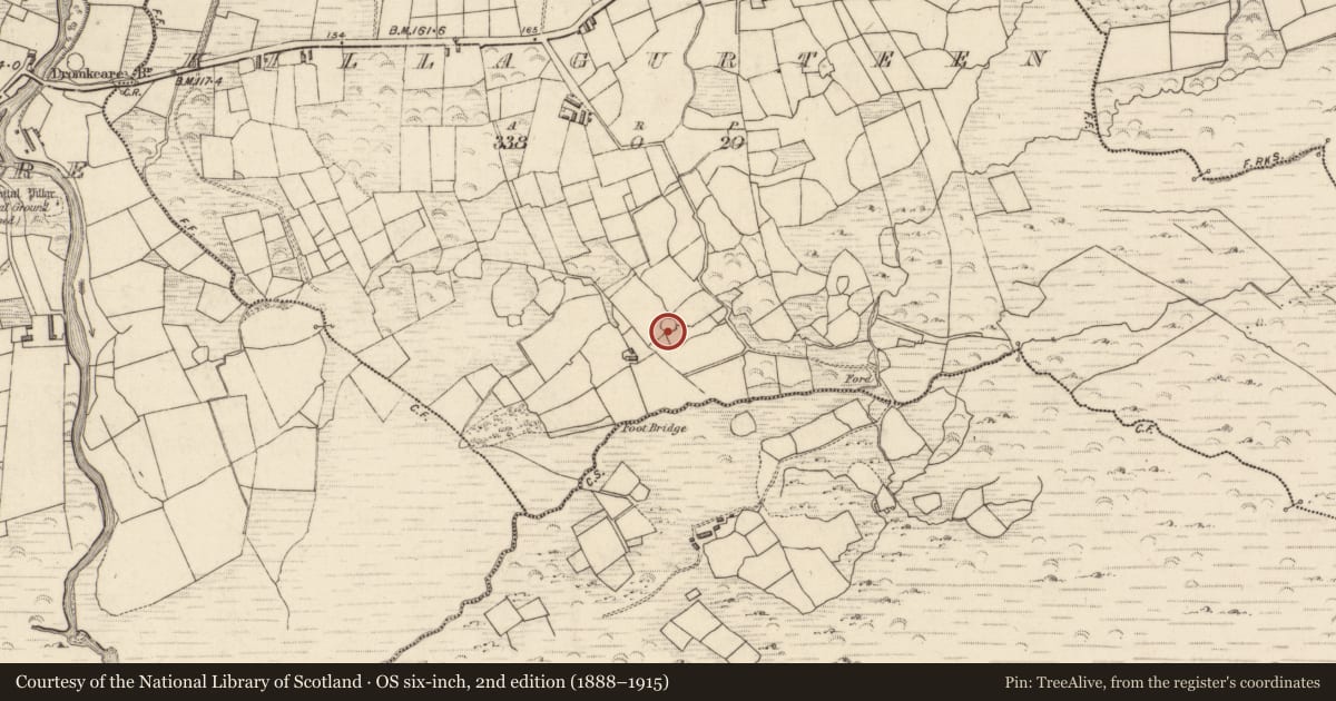 Ordnance Survey six-inch map, 2nd edition (1888–1915) covering the location of Ringfort - cashel, Killagurteen, County Kerry, with a pin at the register's coordinates