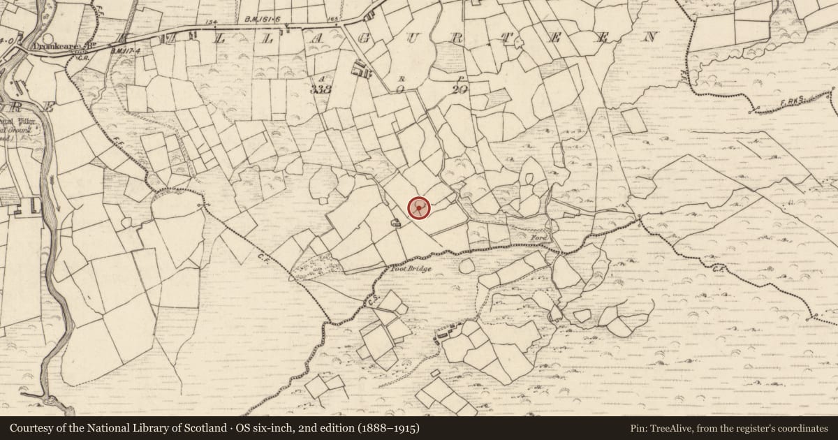 Ordnance Survey six-inch map, 2nd edition (1888–1915) covering the location of Hut site, Killagurteen, County Kerry, with a pin at the register's coordinates