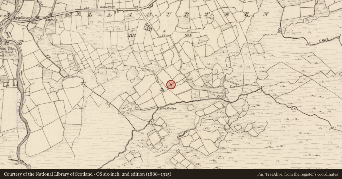Ordnance Survey six-inch map, 2nd edition (1888–1915) covering the location of Souterrain, Killagurteen, County Kerry, with a pin at the register's coordinates