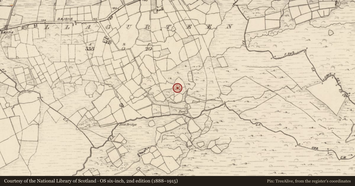Ordnance Survey six-inch map, 2nd edition (1888–1915) covering the location of Ringfort - cashel, Killagurteen, County Kerry, with a pin at the register's coordinates