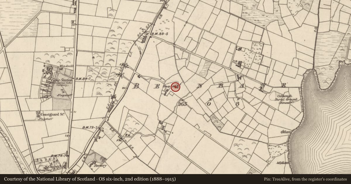 Ordnance Survey six-inch map, 2nd edition (1888–1915) covering the location of Hut site, An Bhinn Bhán (Uíbh Ráthach), County Kerry, with a pin at the register's coordinates