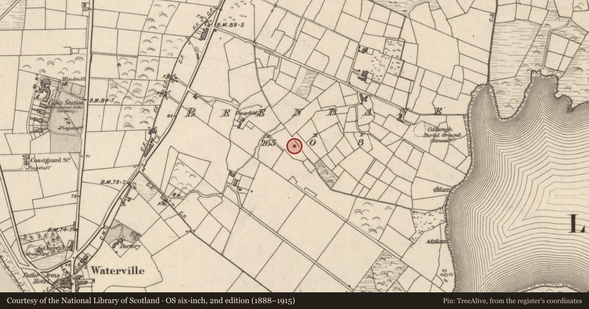 Ordnance Survey six-inch map, 2nd edition (1888–1915) covering the location of Fulacht fia, An Bhinn Bhán (Uíbh Ráthach), County Kerry, with a pin at the register's coordinates