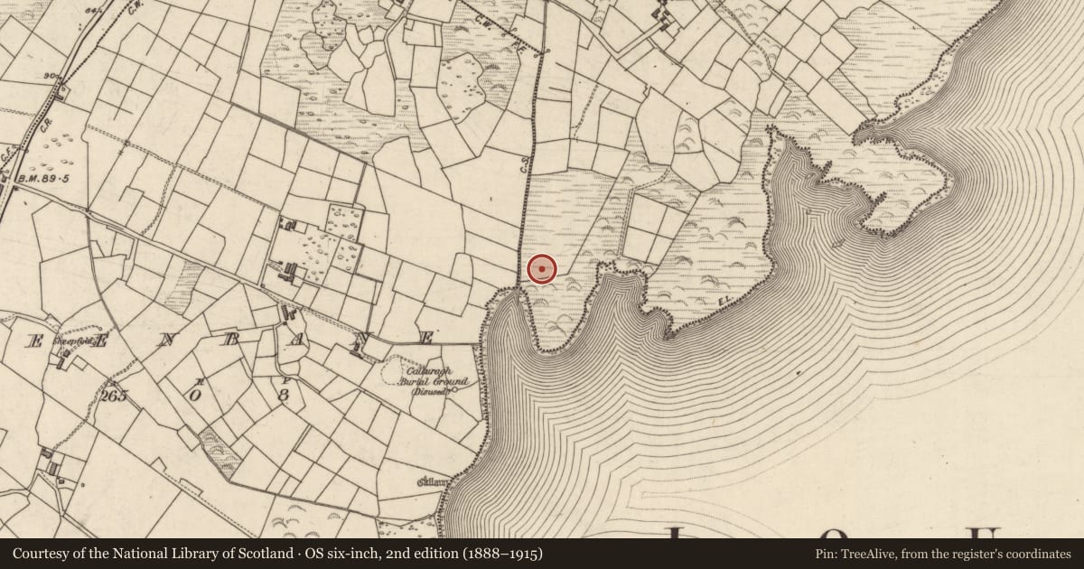 Ordnance Survey six-inch map, 2nd edition (1888–1915) covering the location of Standing stone, Termons, County Kerry, with a pin at the register's coordinates