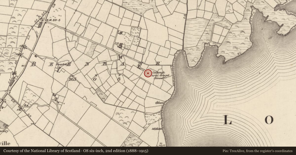 Ordnance Survey six-inch map, 2nd edition (1888–1915) covering the location of Children's burial ground, An Bhinn Bhán (Uíbh Ráthach), County Kerry, with a pin at the register's coordinates