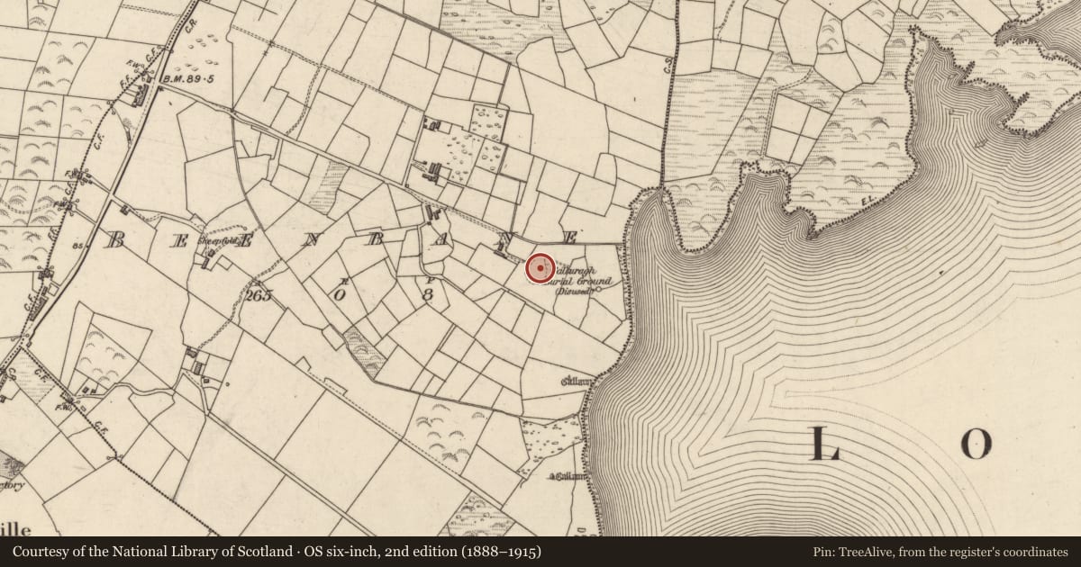 Ordnance Survey six-inch map, 2nd edition (1888–1915) covering the location of Cross-slab, An Bhinn Bhán (Uíbh Ráthach), County Kerry, with a pin at the register's coordinates