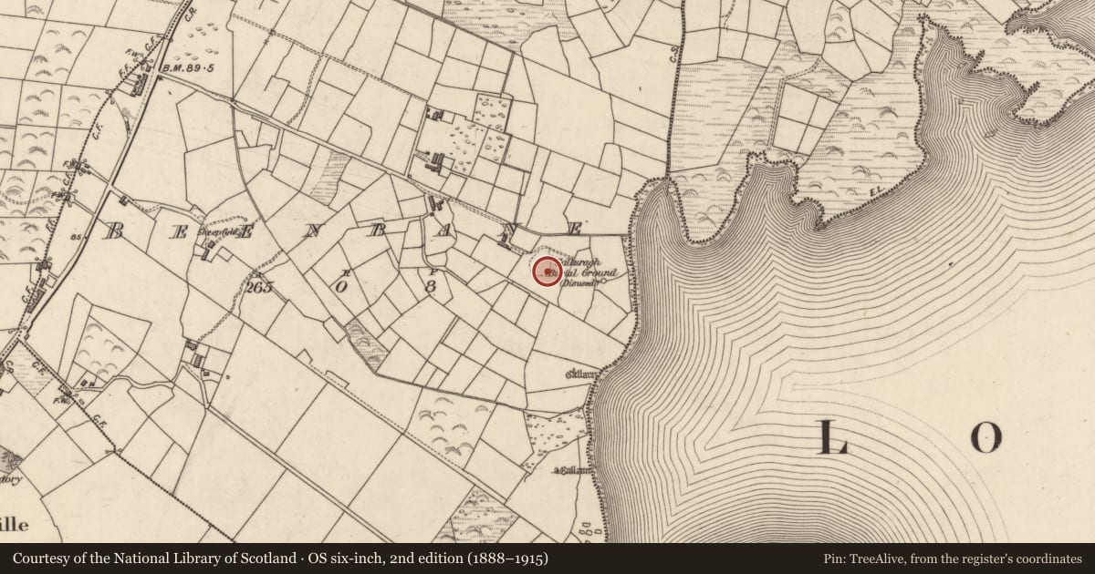 Ordnance Survey six-inch map, 2nd edition (1888–1915) covering the location of Hut site, An Bhinn Bhán (Uíbh Ráthach), County Kerry, with a pin at the register's coordinates