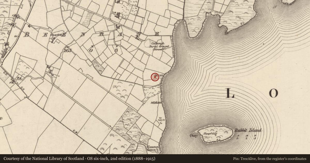 Ordnance Survey six-inch map, 2nd edition (1888–1915) covering the location of Boulder-burial, An Bhinn Bhán (Uíbh Ráthach), County Kerry, with a pin at the register's coordinates