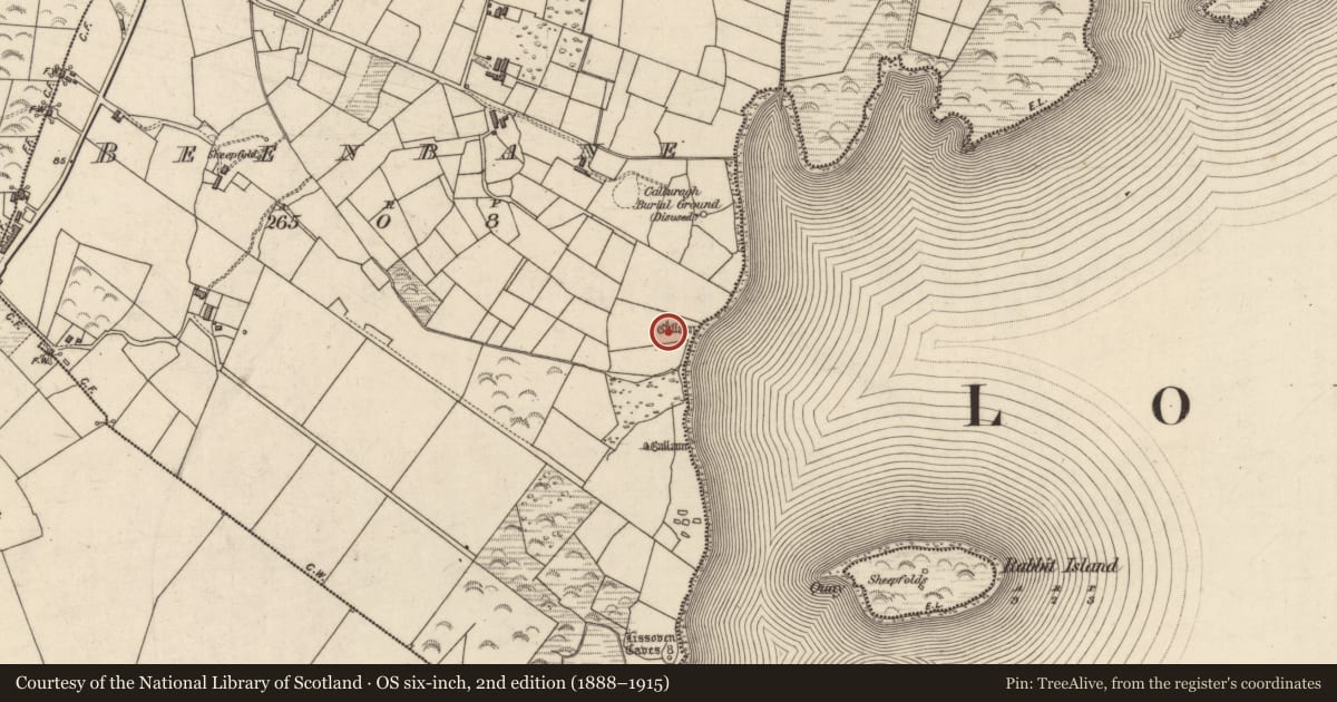 Ordnance Survey six-inch map, 2nd edition (1888–1915) covering the location of Standing stone, An Bhinn Bhán (Uíbh Ráthach), County Kerry, with a pin at the register's coordinates