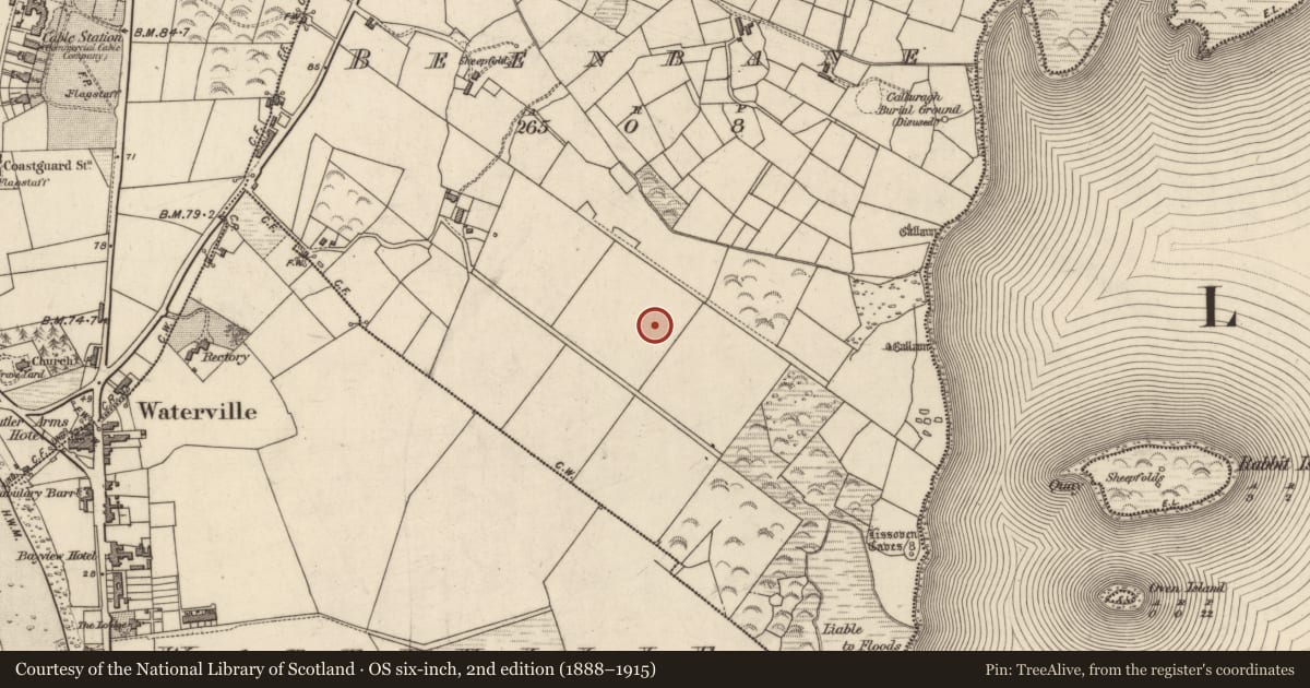 Ordnance Survey six-inch map, 2nd edition (1888–1915) covering the location of Hut site, An Bhinn Bhán (Uíbh Ráthach), County Kerry, with a pin at the register's coordinates