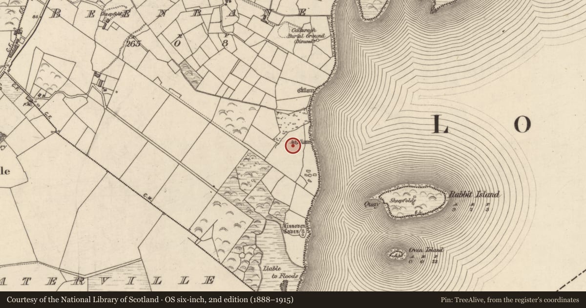 Ordnance Survey six-inch map, 2nd edition (1888–1915) covering the location of Standing stone, An Bhinn Bhán (Uíbh Ráthach), County Kerry, with a pin at the register's coordinates