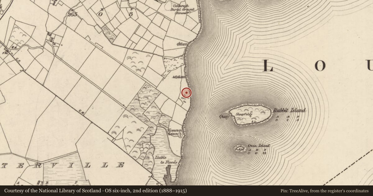 Ordnance Survey six-inch map, 2nd edition (1888–1915) covering the location of Hut site, An Bhinn Bhán (Uíbh Ráthach), County Kerry, with a pin at the register's coordinates