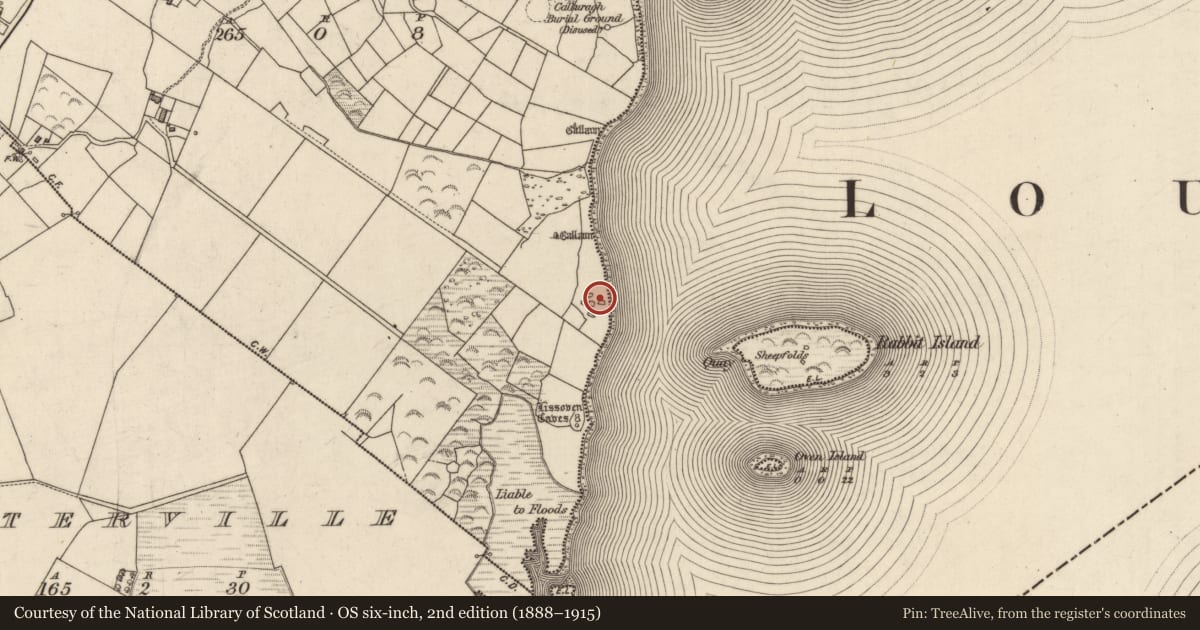 Ordnance Survey six-inch map, 2nd edition (1888–1915) covering the location of Hut site, An Bhinn Bhán (Uíbh Ráthach), County Kerry, with a pin at the register's coordinates