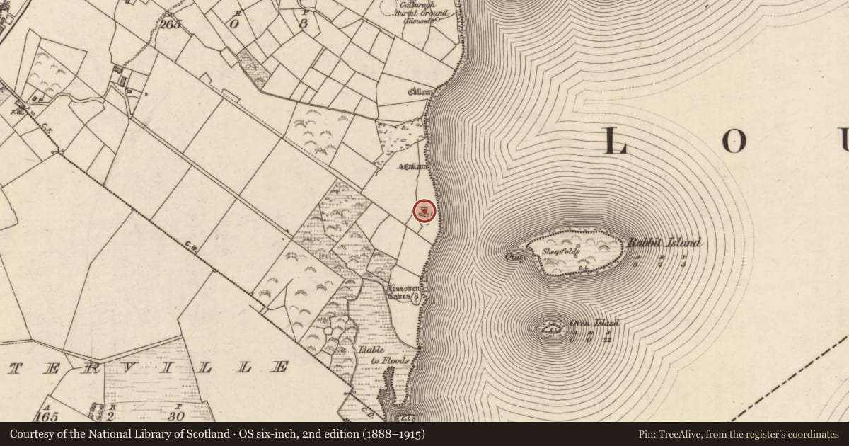 Ordnance Survey six-inch map, 2nd edition (1888–1915) covering the location of Hut site, An Bhinn Bhán (Uíbh Ráthach), County Kerry, with a pin at the register's coordinates