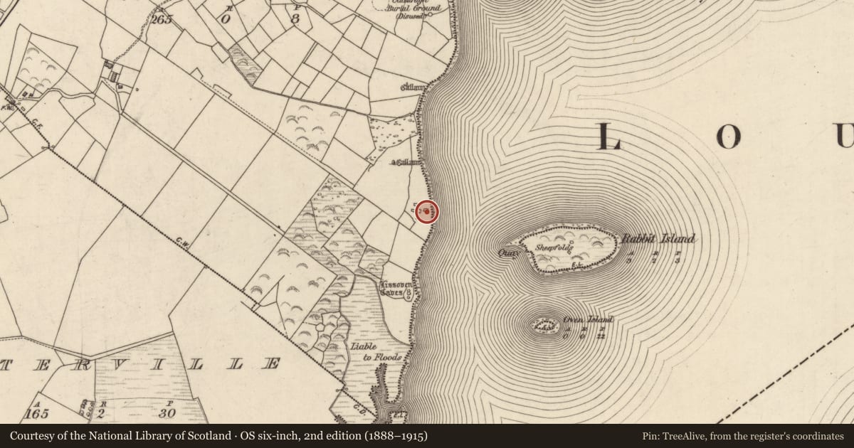 Ordnance Survey six-inch map, 2nd edition (1888–1915) covering the location of Hut site, An Bhinn Bhán (Uíbh Ráthach), County Kerry, with a pin at the register's coordinates