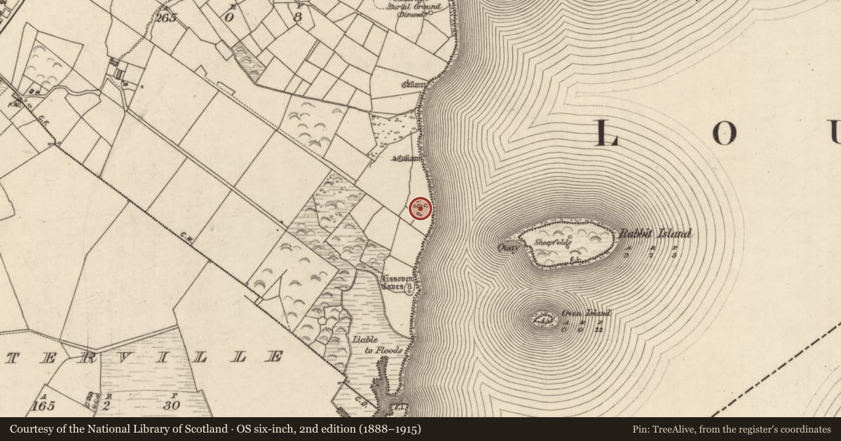 Ordnance Survey six-inch map, 2nd edition (1888–1915) covering the location of Hut site, An Bhinn Bhán (Uíbh Ráthach), County Kerry, with a pin at the register's coordinates
