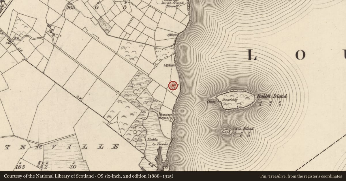 Ordnance Survey six-inch map, 2nd edition (1888–1915) covering the location of Hut site, An Bhinn Bhán (Uíbh Ráthach), County Kerry, with a pin at the register's coordinates
