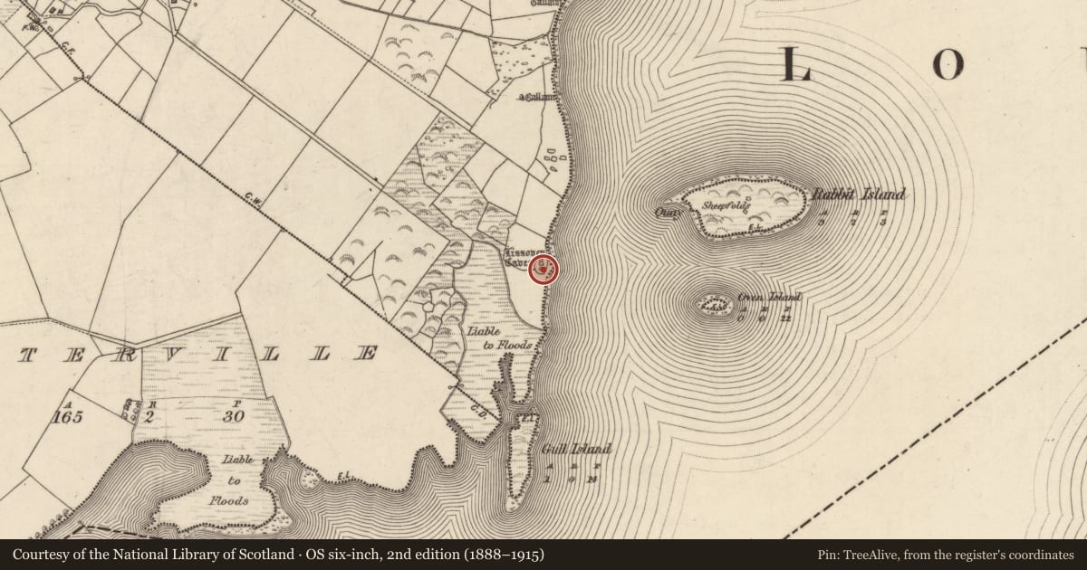 Ordnance Survey six-inch map, 2nd edition (1888–1915) covering the location of Souterrain, An Bhinn Bhán (Uíbh Ráthach), County Kerry, with a pin at the register's coordinates