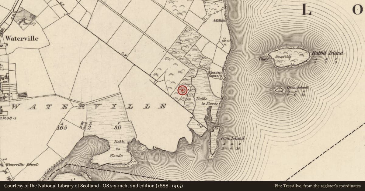 Ordnance Survey six-inch map, 2nd edition (1888–1915) covering the location of Enclosure, An Bhinn Bhán (Uíbh Ráthach), County Kerry, with a pin at the register's coordinates