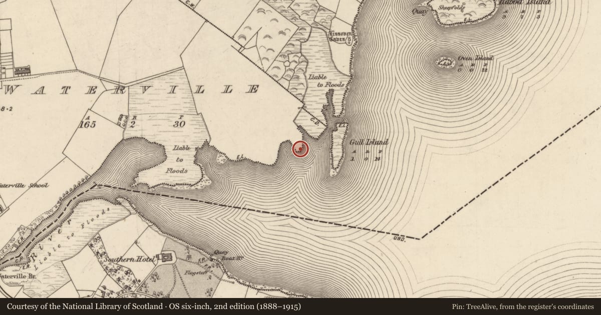 Ordnance Survey six-inch map, 2nd edition (1888–1915) covering the location of Megalithic tomb - unclassified, Waterville, County Kerry, with a pin at the register's coordinates